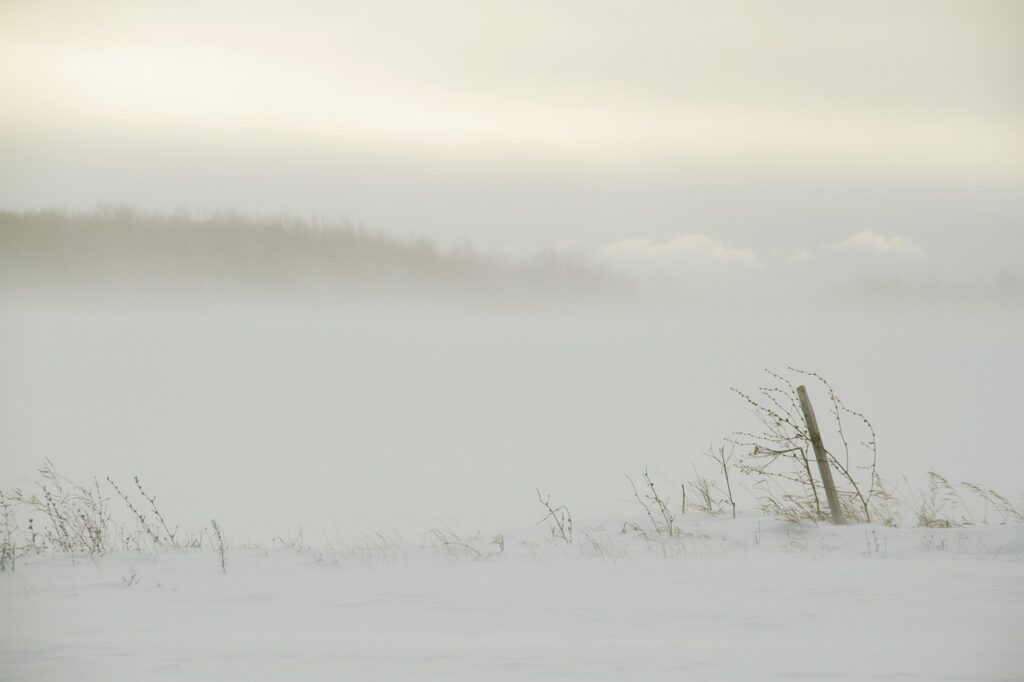 マッチングアプリでのeKYC本人確認が厳重な理由とは？