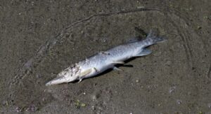 マッチングアプリの勧誘に対する目的別対策は？