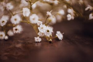 with 連絡先を使った効果的なビジネスコミュニケーションの方法は？