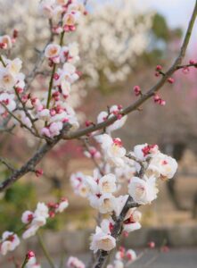 withブロックされるとどのような影響があるのか？