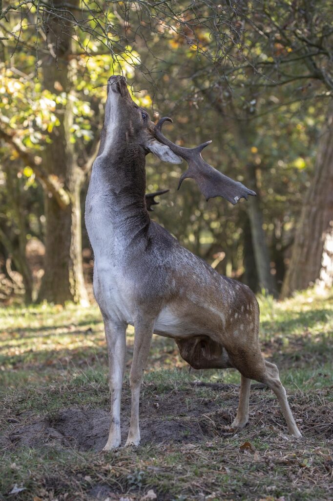 マッチングアプリで住んでる場所を理由にブロックされたらどうすればいい？