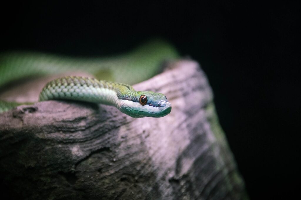 あなたは既婚者かどうかを見極めるためのチェックリストは？