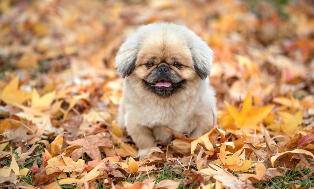 マッチングアプリがバレた場合の対処法は？