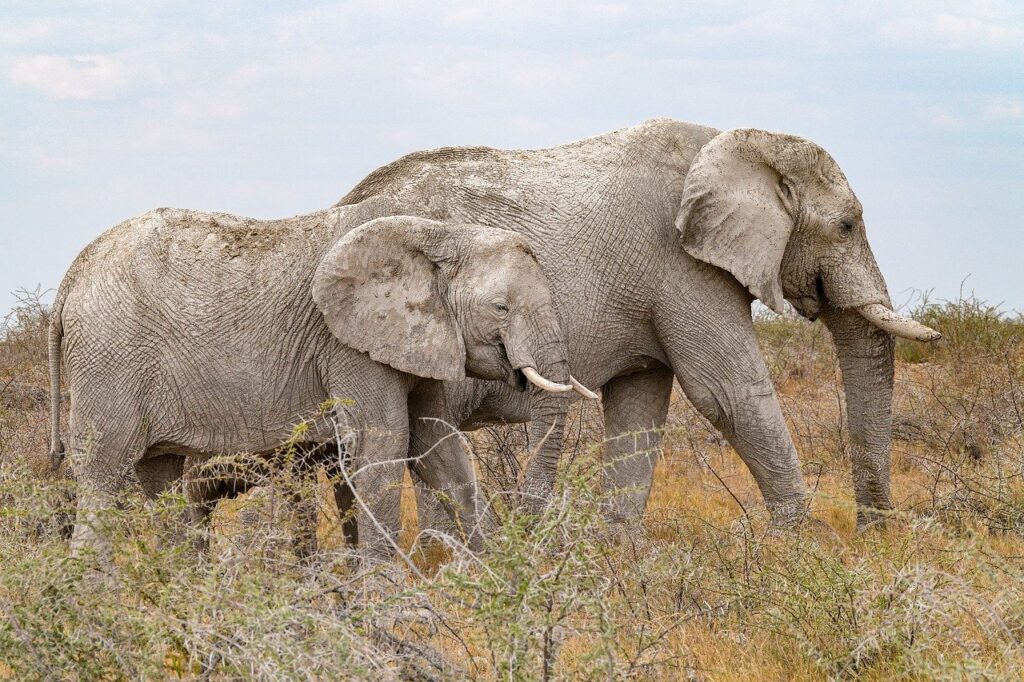 マッチングアプリでマルチっぽい特徴とは何か？