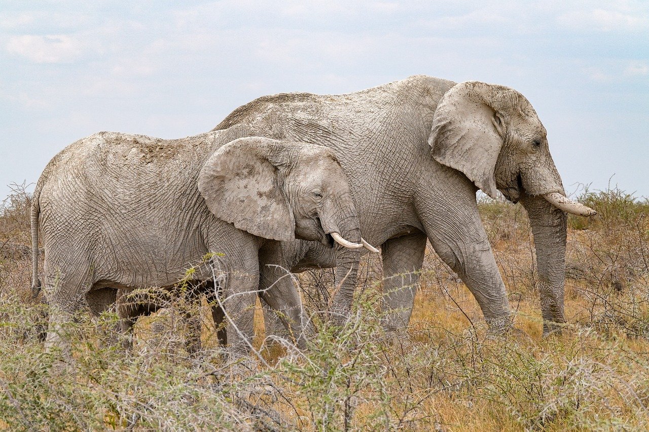 マッチングアプリでマルチっぽい特徴とは何か？