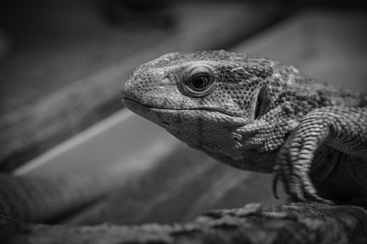 マッチングアプリでトラブル発生時に警察に相談する方法は？