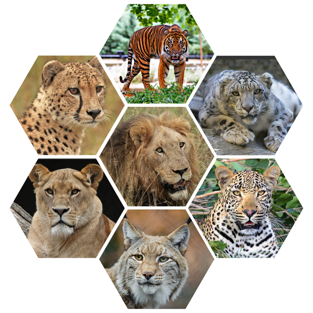 マッチングアプリで悪質ユーザーを通報するやり方は？