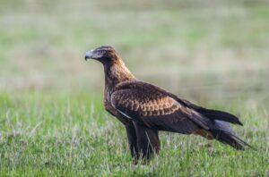 マッチングアプリで既婚者を見分ける方法は土日にどう活用する？