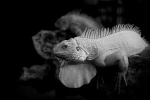 マッチングアプリの見分け方を徹底解説する方法は？