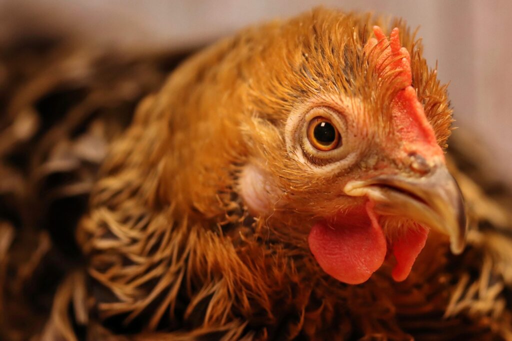 マッチングアプリで業者に誘われたらどうする？