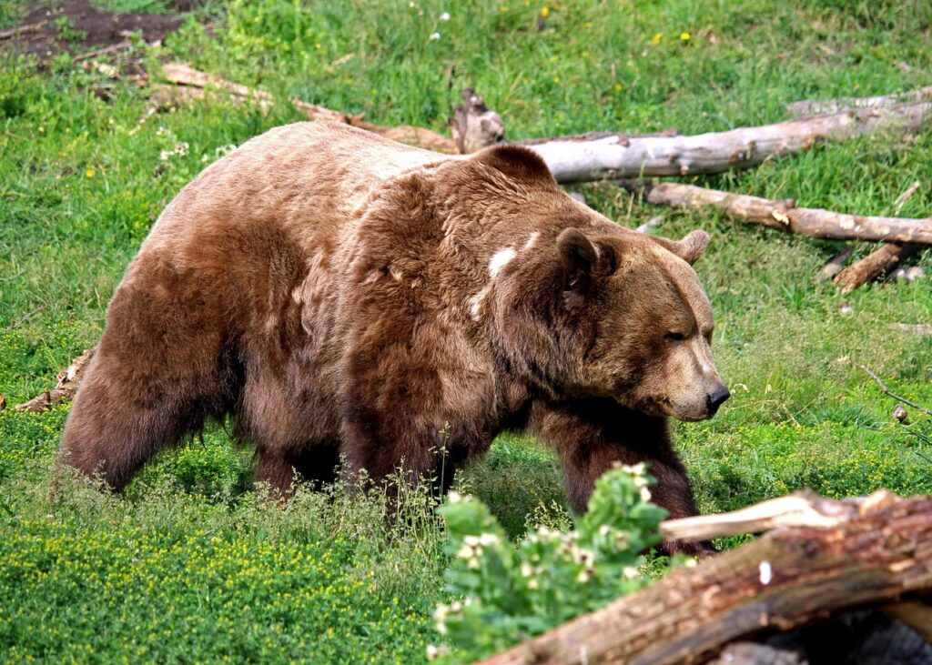 出会い系とマッチングアプリの違いは何ですか？