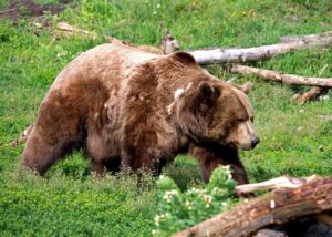 出会い系とマッチングアプリの違いは何ですか？