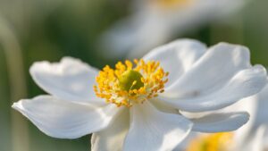 恋活や婚活に最適なアプリで課金しない方法は？