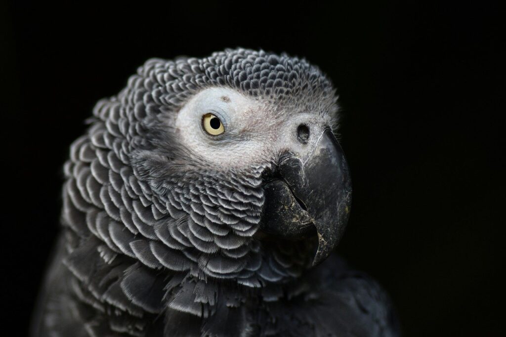 モテるためのプロフィール作成のポイントは？