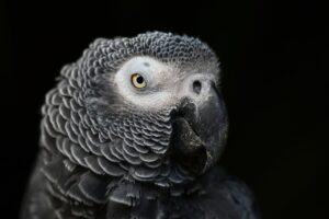 モテるためのプロフィール作成のポイントは？