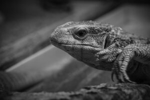 恋活アプリの監視体制はどのように機能しているのか？