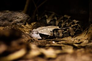 恋活アプリの危険を回避する方法は？
