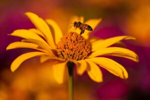 婚活相談所の返金保証は本当に安心できる？